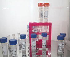 引進美國生物工程前沿技術，打造高科技生物制品研發新生態